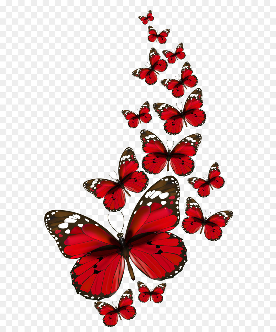 Butterfly Clip art - Red Butterflies Vector PNG Clipart png download - 2496*4129 - Free Transparent Butterfly png Download.