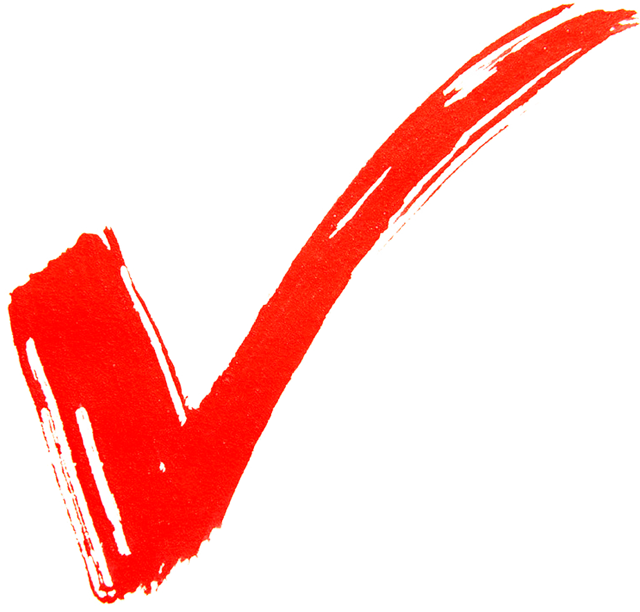 Check Check Mark Red Mark Tick Png Picpng - vrogue.co