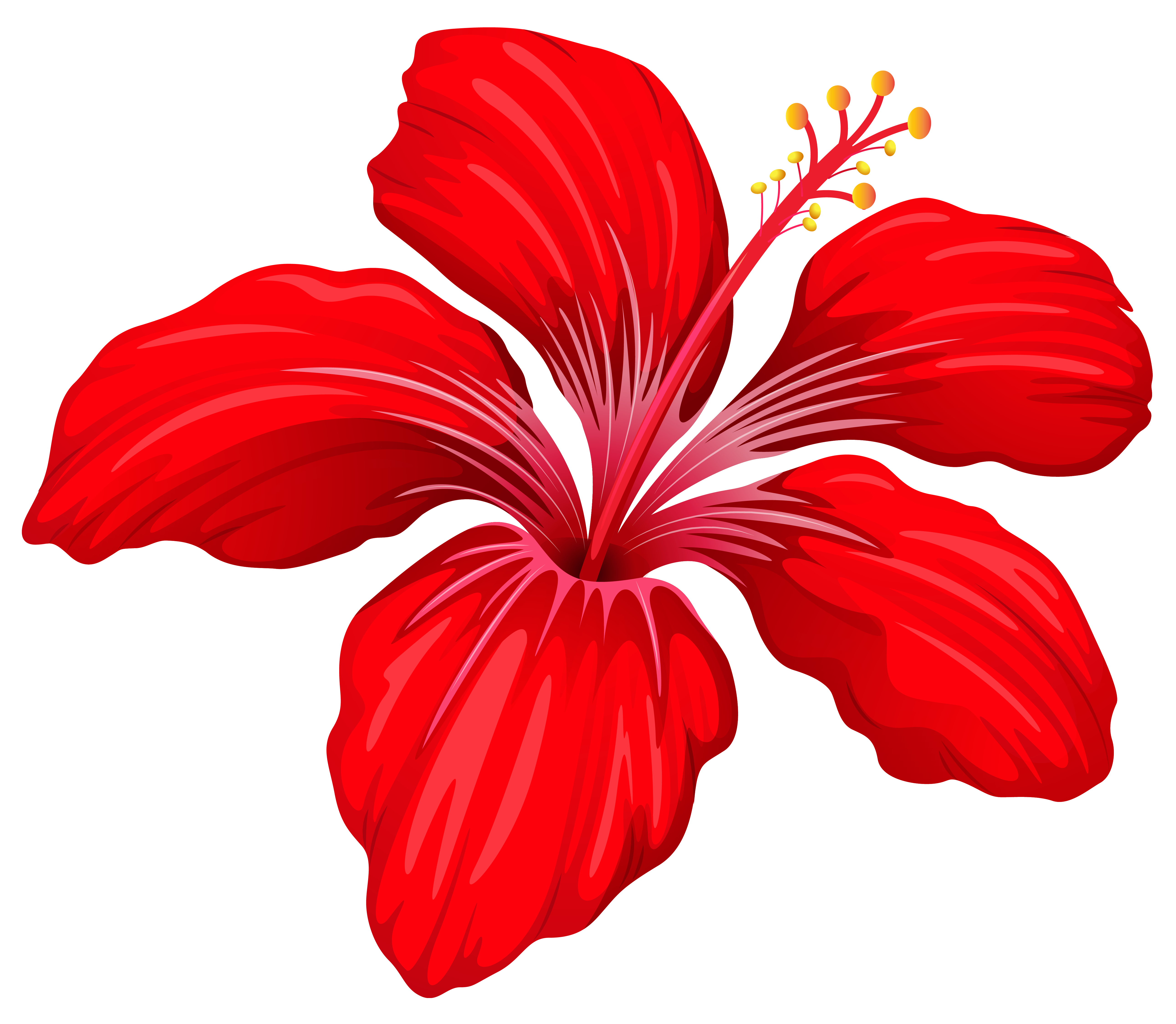 Red rose illustration, Flower Drawing Rose, Rose, love, floribunda,  artificial Flower png | Klipartz