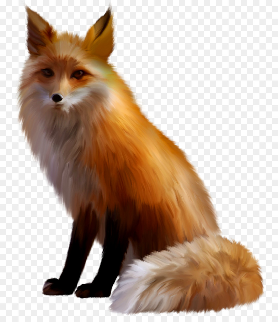 Red fox Sticker Arctic fox - fox png download - 817*1024 - Free Transparent RED Fox png Download.