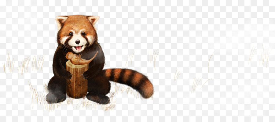Red panda Madeira Giant panda Fire salamander Bear - Panda holding wood png download - 8400*3564 - Free Transparent Red Panda png Download.
