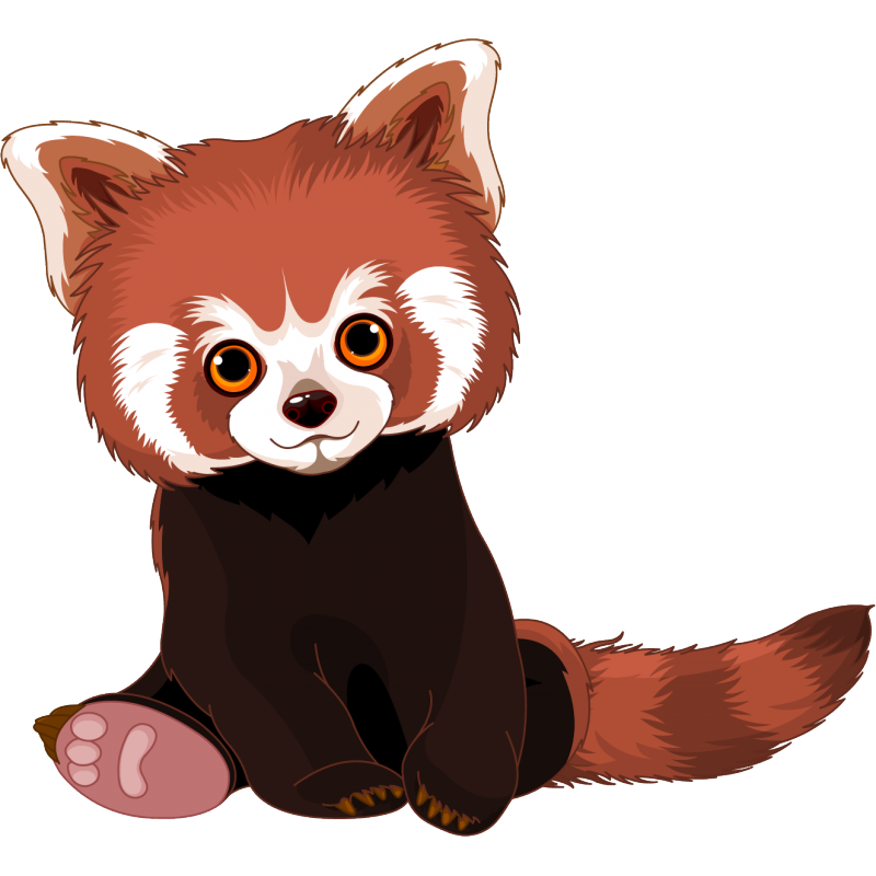 Red panda Giant panda Royalty-free - others png download - 800*800 ...