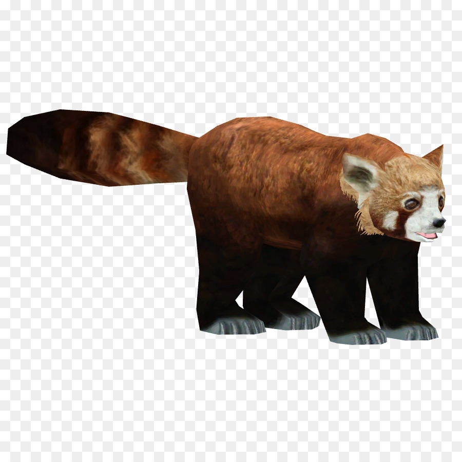 Red panda Giant panda Bear Carnivora - bear png download - 900*900 - Free Transparent Red Panda png Download.