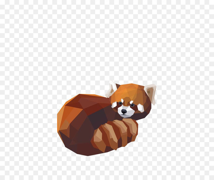 Red panda Giant panda Raccoon Bear Illustration - Cartoon raccoon png download - 500*750 - Free Transparent Red Panda png Download.