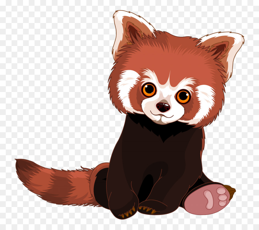 Red panda Giant panda Royalty-free - red panda png download - 800*800 - Free Transparent Red Panda png Download.