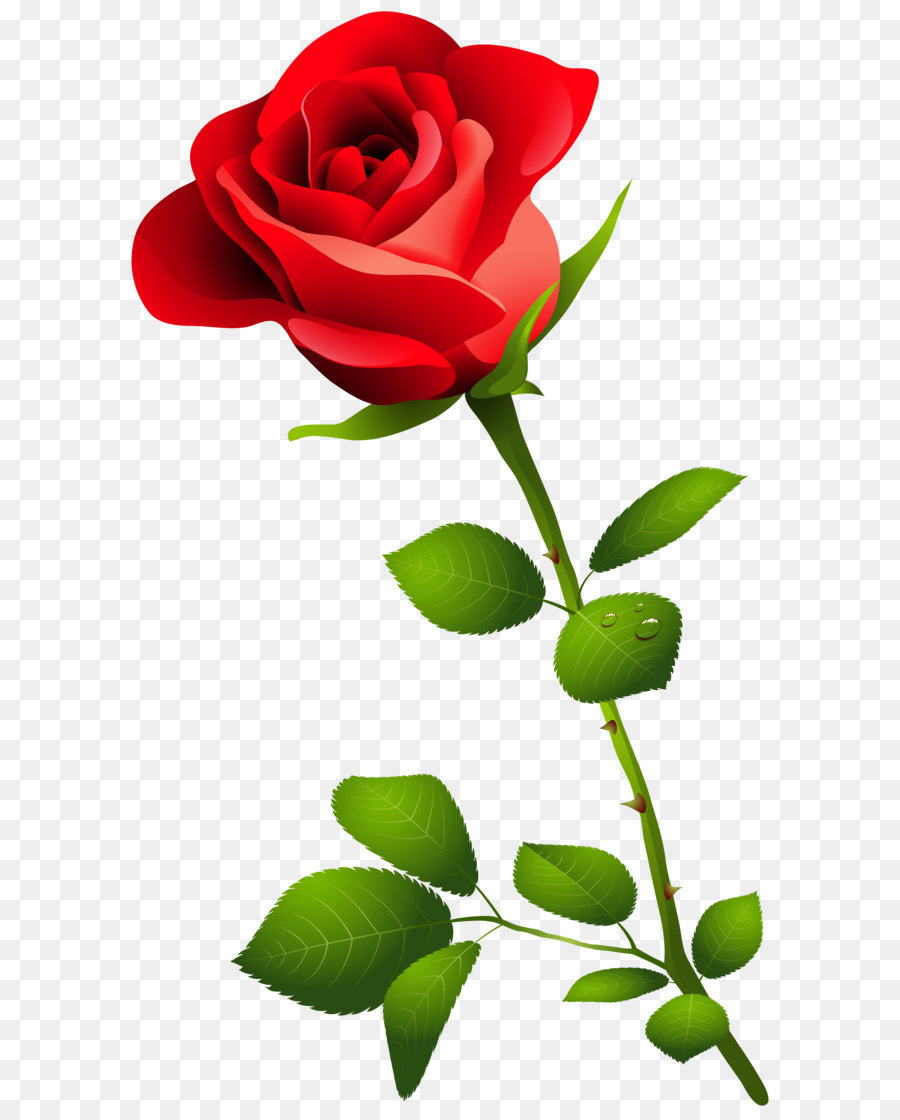 Rose Pink Clip art - Red Rose with Stem PNG Clipart Image png download - 3658*6286 - Free Transparent Rose png Download.