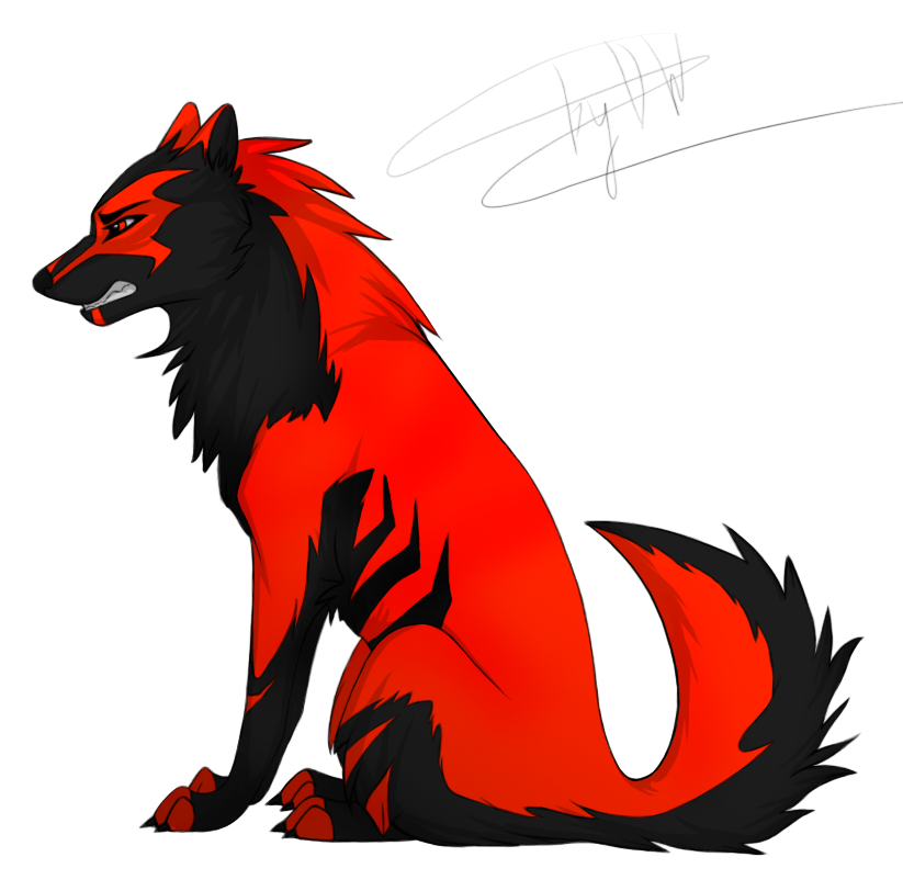 Dog Arctic wolf Red wolf Black wolf Drawing - BLUE WOLF png download ...