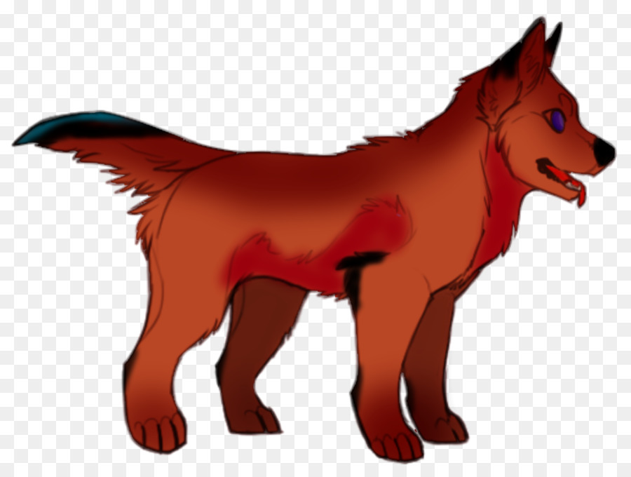 Red fox Dog Dhole Red wolf Snout - Dog png download - 1024*768 - Free Transparent RED Fox png Download.