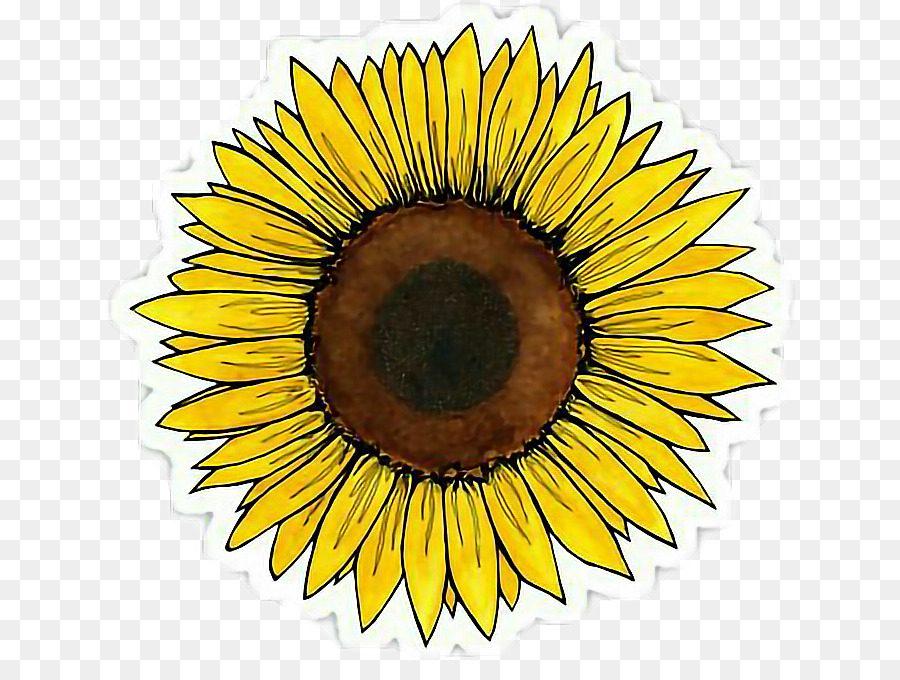 Sticker Decal Sunflower Redbubble 0 - aesthetic sign png download - 690*662 - Free Transparent Sticker png Download.