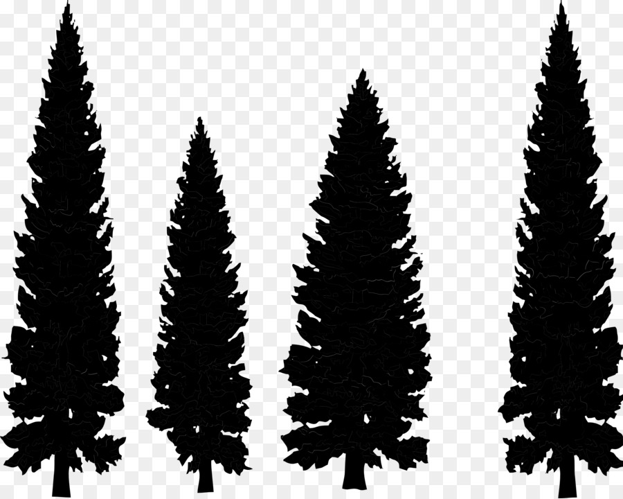 Clip art Pine Drawing Vector graphics Conifers -  png download - 3333*2663 - Free Transparent Pine png Download.