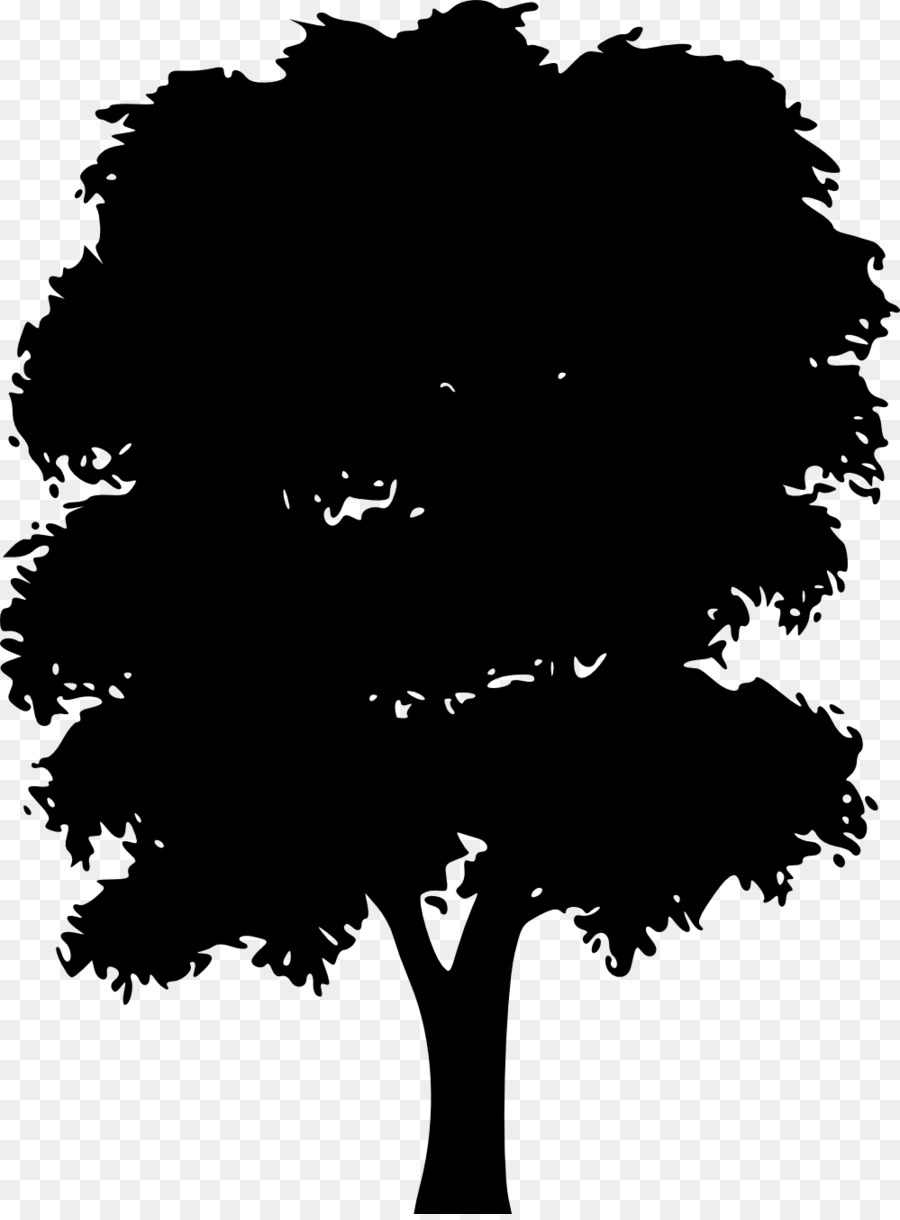 Tree Clip art - redwood png download - 999*1348 - Free Transparent Tree png Download.