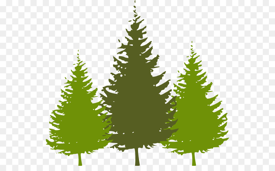 Christmas tree Fir Clip art - Redwood Cliparts png download - 600*543 - Free Transparent Christmas Tree png Download.