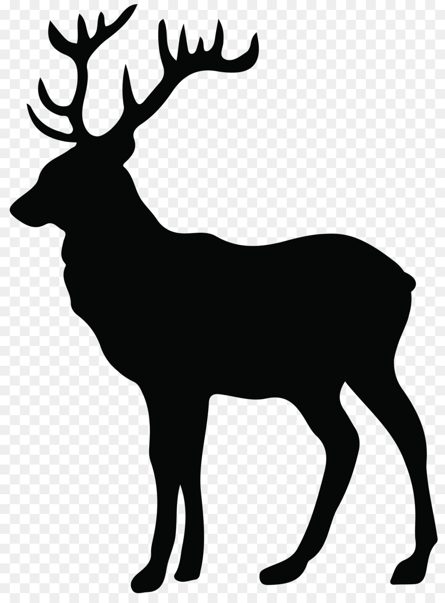 Deer Elk Moose Clip art - deer png download - 5953*8000 - Free Transparent Deer png Download.