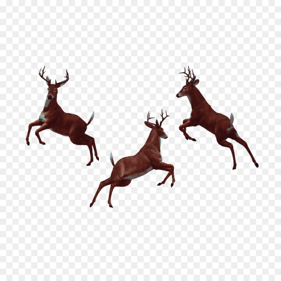 Portable Network Graphics Vector graphics Image Photography - pixel animal png deer png download - 2289*2289 - Free Transparent Photography png Download.