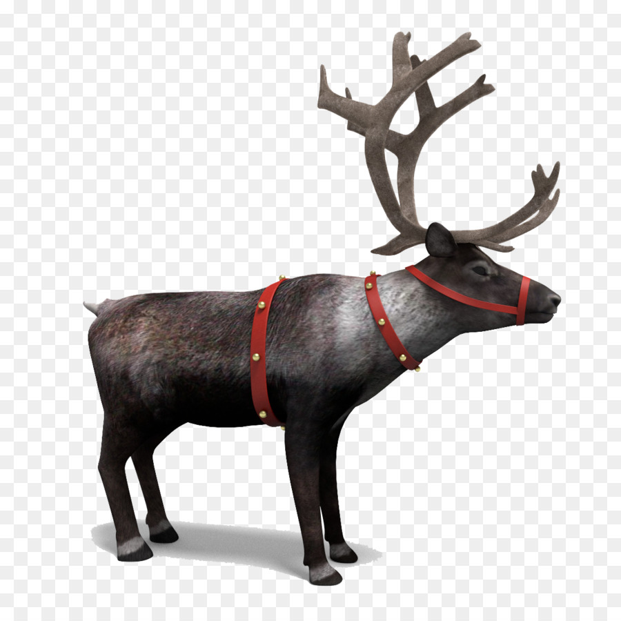 Reindeer 3D computer graphics - Reindeer PNG Picture png download - 1200*1200 - Free Transparent Reindeer png Download.