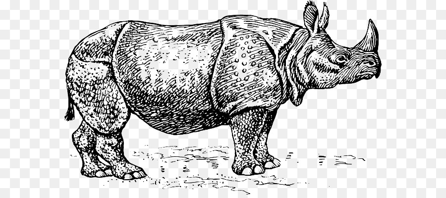 Black rhinoceros Silhouette Clip art - badak png download - 640*393 - Free Transparent Rhinoceros png Download.