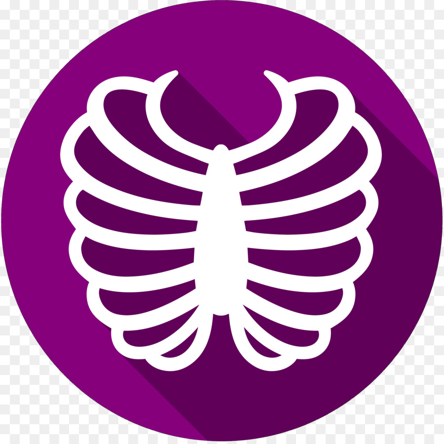 Rib cage Vector graphics Computer Icons Bone -  png download - 2787*2776 - Free Transparent Rib Cage png Download.