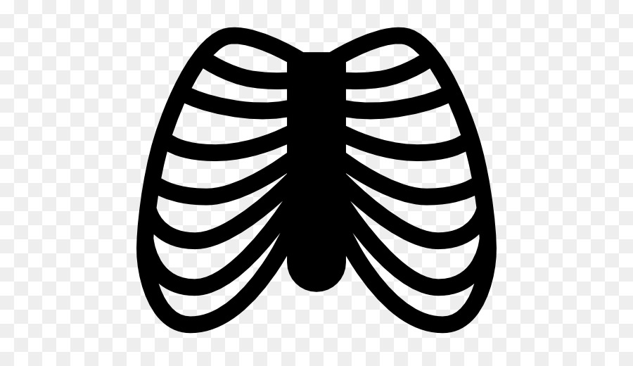 Rib cage Computer Icons - Ribs png download - 512*512 - Free Transparent Rib Cage png Download.
