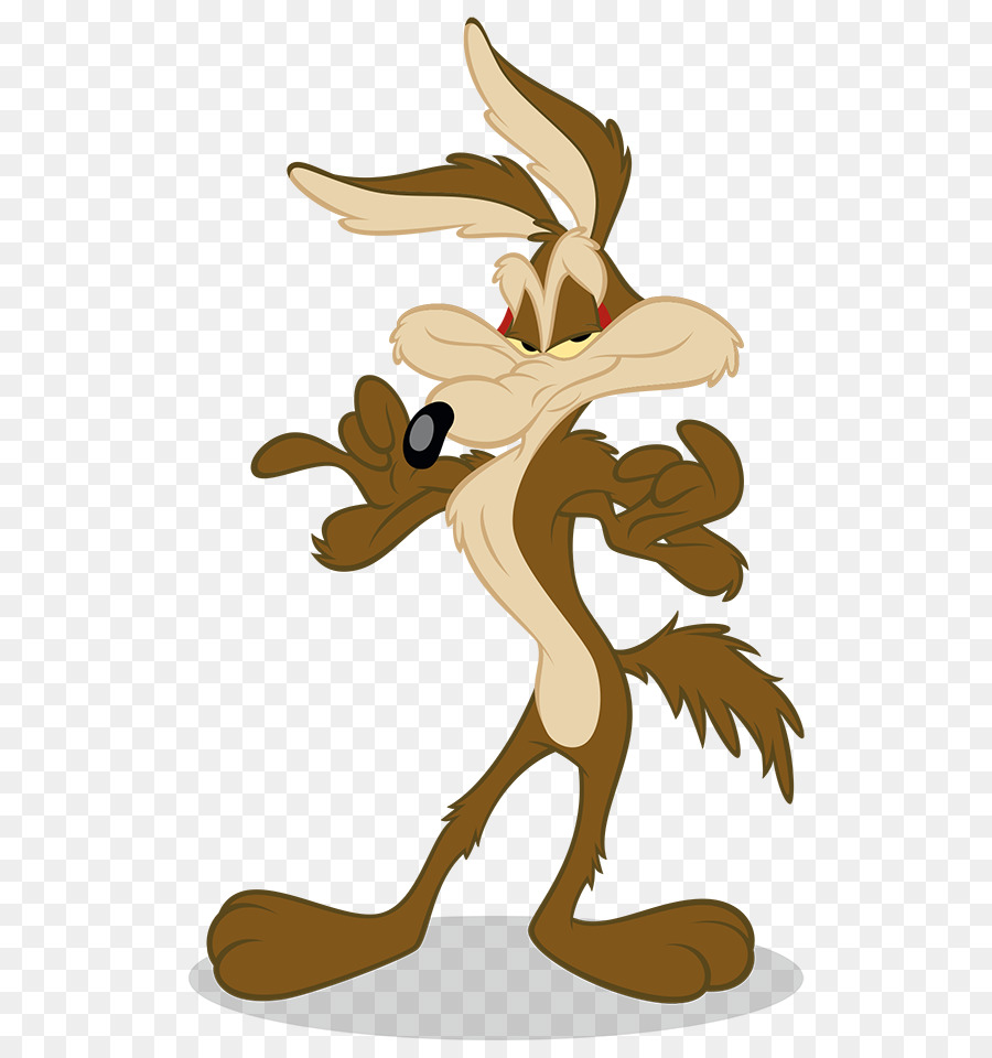 Wile E. Coyote and the Road Runner Looney Tunes Cartoon - wild duck png download - 568*950 - Free Transparent Wile E Coyote png Download.