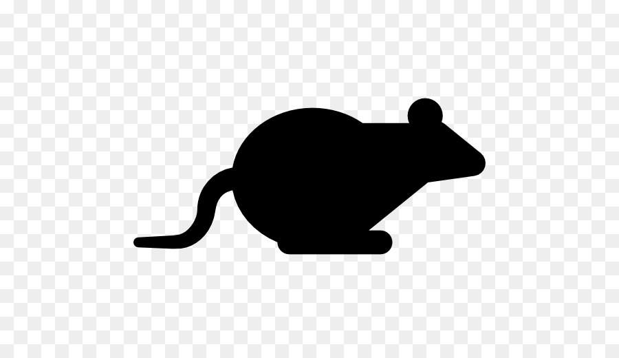 Rodent Cat Computer mouse Muroidea - mouse animal png download - 512*512 - Free Transparent Rodent png Download.
