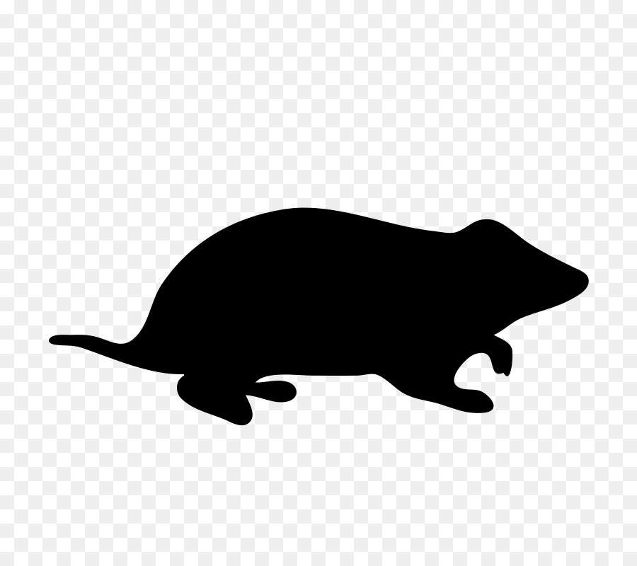 Hamster Rodent Silhouette Clip art - hamster png download - 800*800 - Free Transparent Hamster png Download.