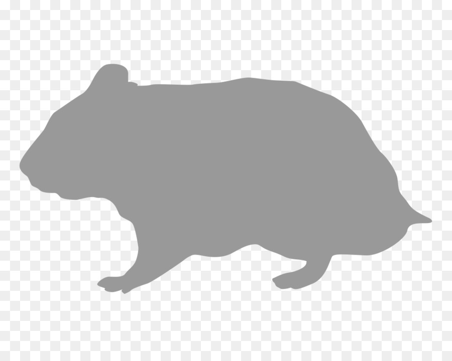 Rodent Hamster Silhouette Gerbil - hamster png download - 1008*798 - Free Transparent Rodent png Download.
