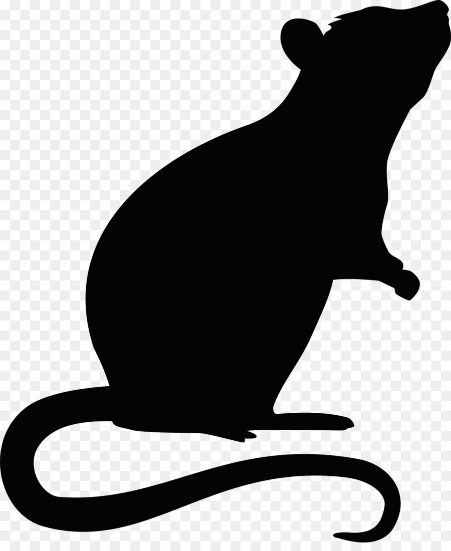 Rat Mouse Rodent - rat png download - 1200*1444 - Free Transparent Rat png Download.