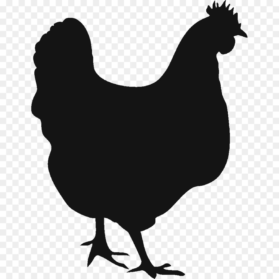 Chicken Vector graphics Hen Rooster Clip art - Chalkboard vector png download - 1000*1000 - Free Transparent Chicken png Download.