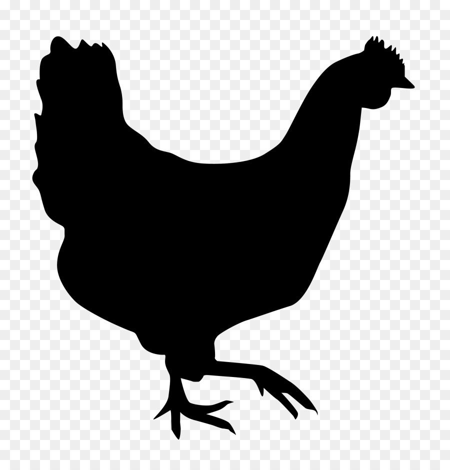 Rooster Chicken Silhouette Hen Drawing - chicken png download - 810*927 - Free Transparent Rooster png Download.