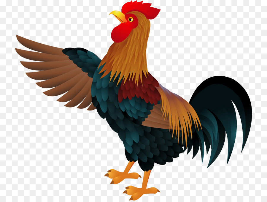 Vector graphics Clip art Image Rooster - rooster png download - 800*676 - Free Transparent Rooster png Download.