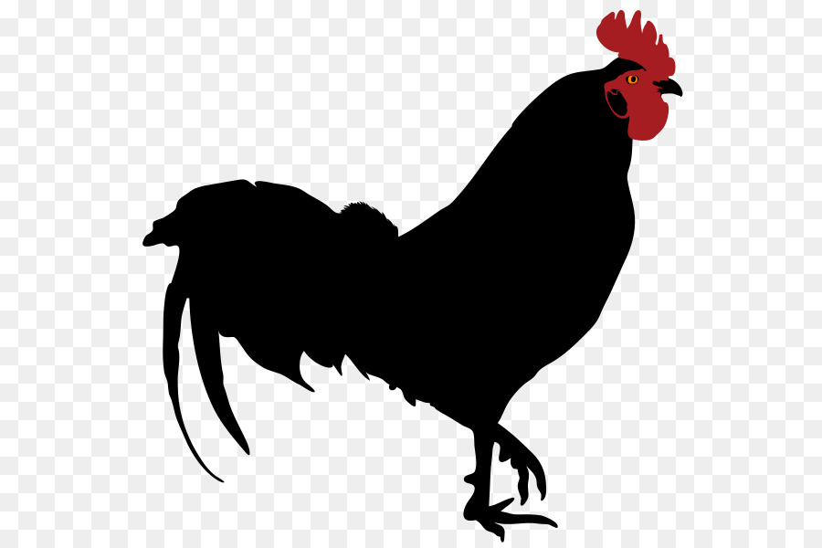 Rooster Silhouette Drawing Clip art - rooster wordart png download - 616*600 - Free Transparent Rooster png Download.