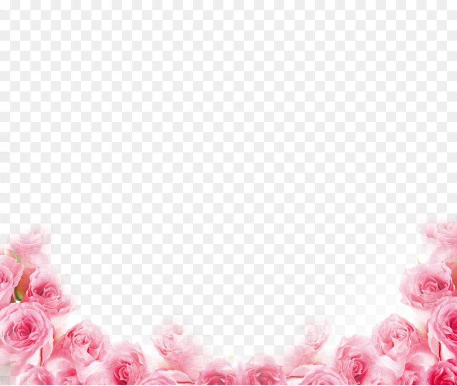 Pink Beach rose Petal Flower - Pink rose border png download - 3547*2986 - Free Transparent Pink png Download.