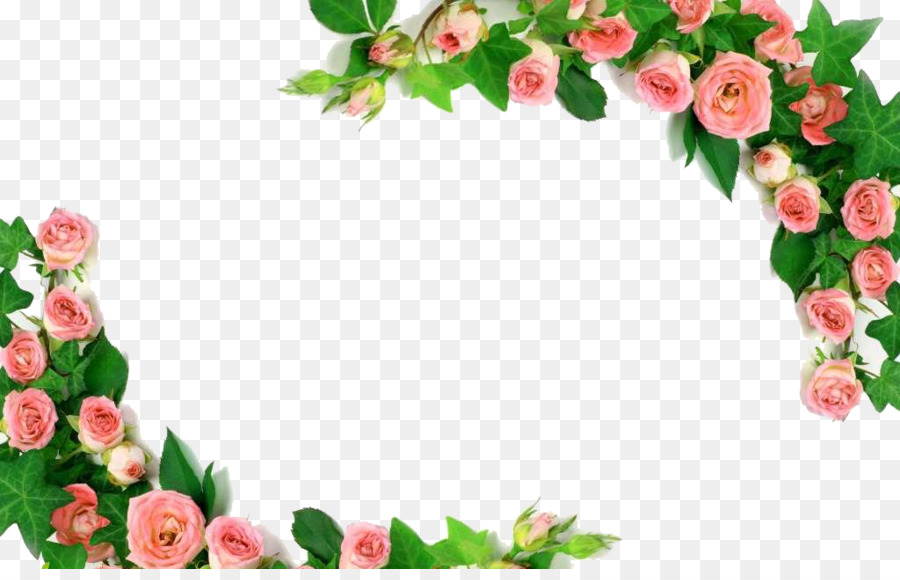 Rose u30c7u30a3u30aau30fcu30cd u5409u7965u5bfau5e97 Pink Photography Royalty-free - Pink roses border png download - 1024*647 - Free Transparent Rose png Download.