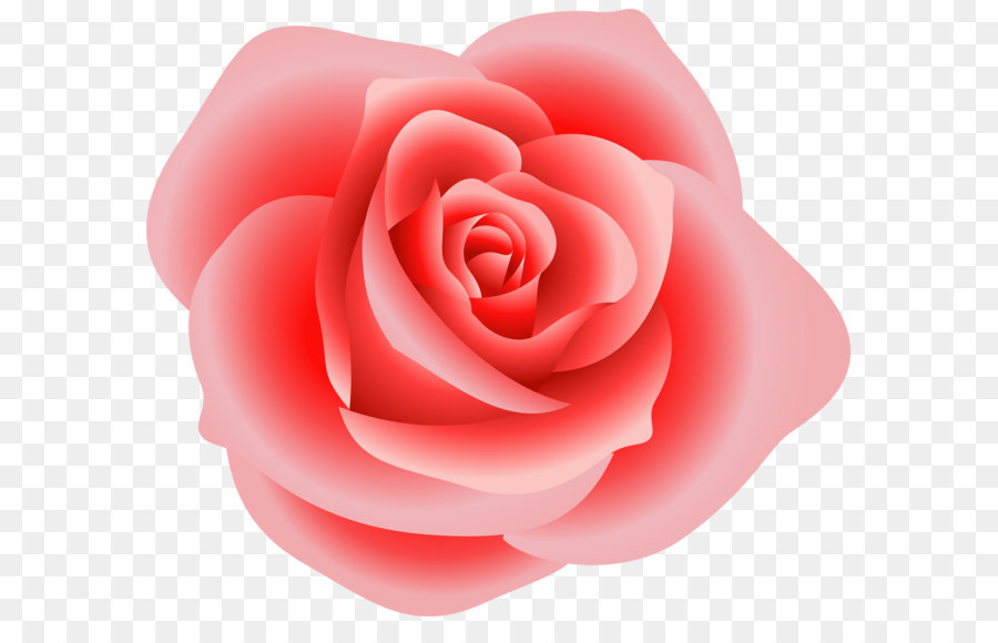 Rose Clip art - Large Red Rose Clipart png download - 2047*1776 - Free Transparent Rose png Download.