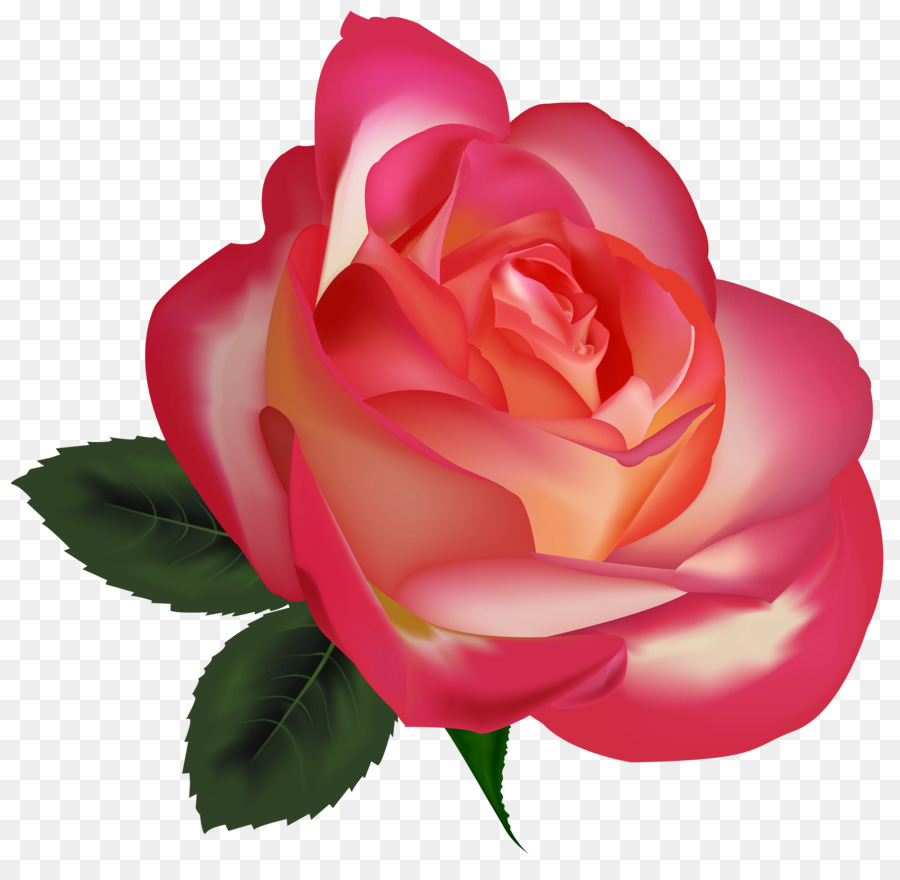 Best Roses Flower Clip art - Pink Roses Flowers Png png download - 4000*3838 - Free Transparent Best Roses png Download.