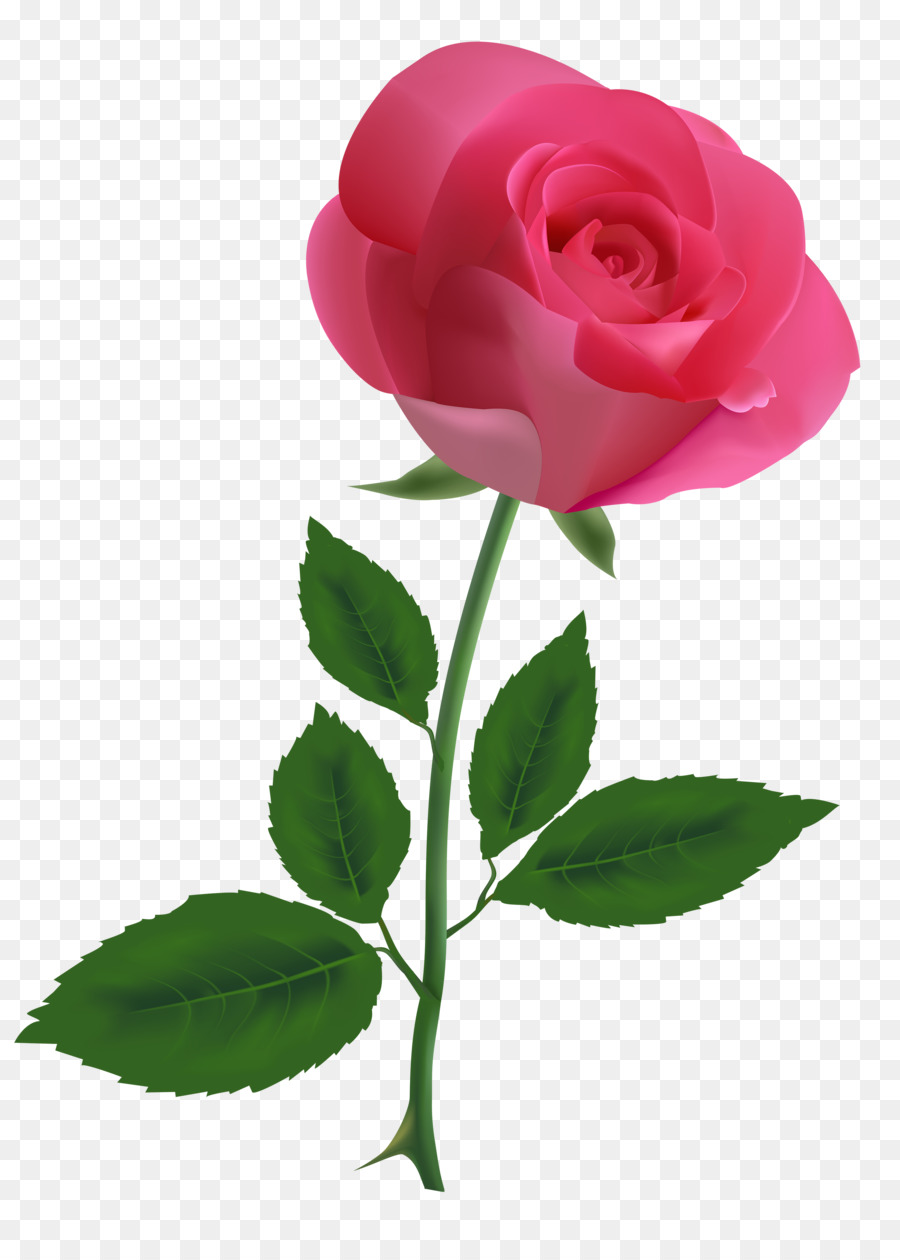 Rose Pink Free Clip art - rose png download - 2880*4000 - Free Transparent Rose png Download.