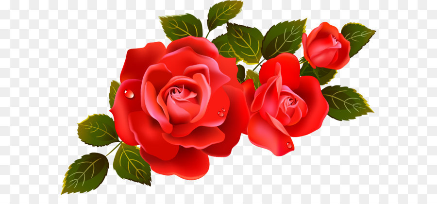 Rose Flower Clip art - Large Red Roses Clipart Element png download - 1172*725 - Free Transparent Rose png Download.