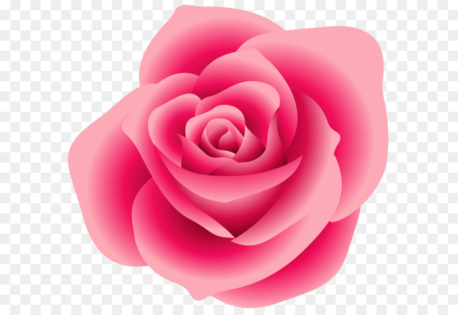 Rose Pink Clip art - Large Pink Rose Clipart png download - 2000*1892 - Free Transparent Rose png Download.