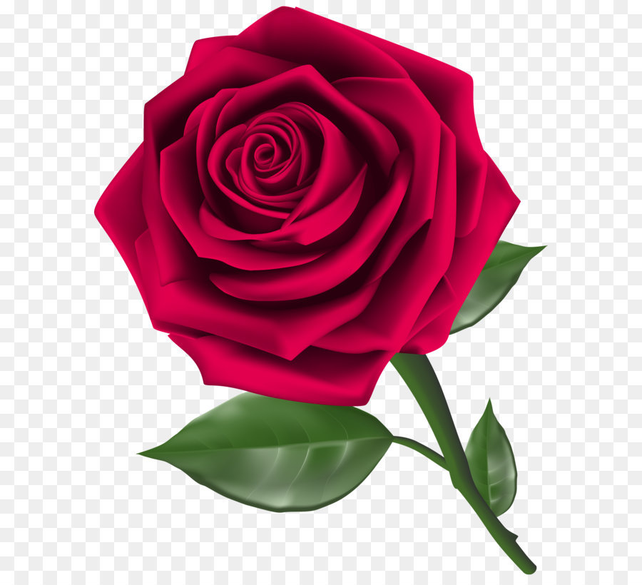 Rose Clip art - Steam Rose Clipart PNG Image png download - 5001*6261 - Free Transparent Rose png Download.