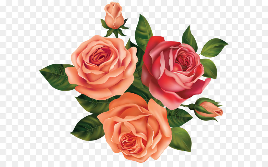 Rose Flower Clip art - Beautiful Roses Clipart Image png download - 5000*4239 - Free Transparent Rose png Download.