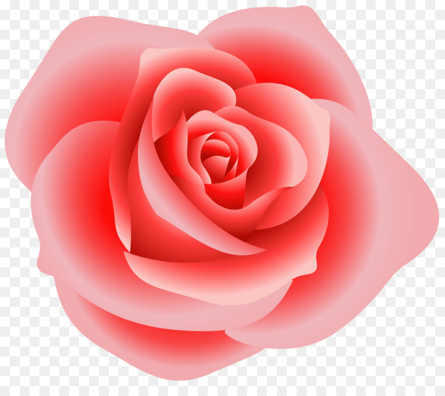 Rose Pink Clip art - rose clipart png download - 1024*888 - Free Transparent Rose png Download.