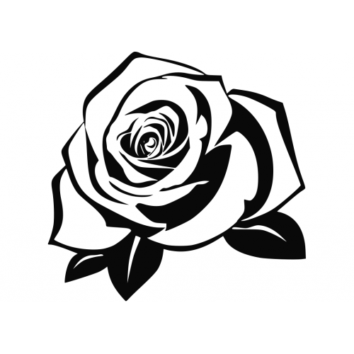 Silhouette Royalty-free Rose - Silhouette png download - 500*500 - Free ...