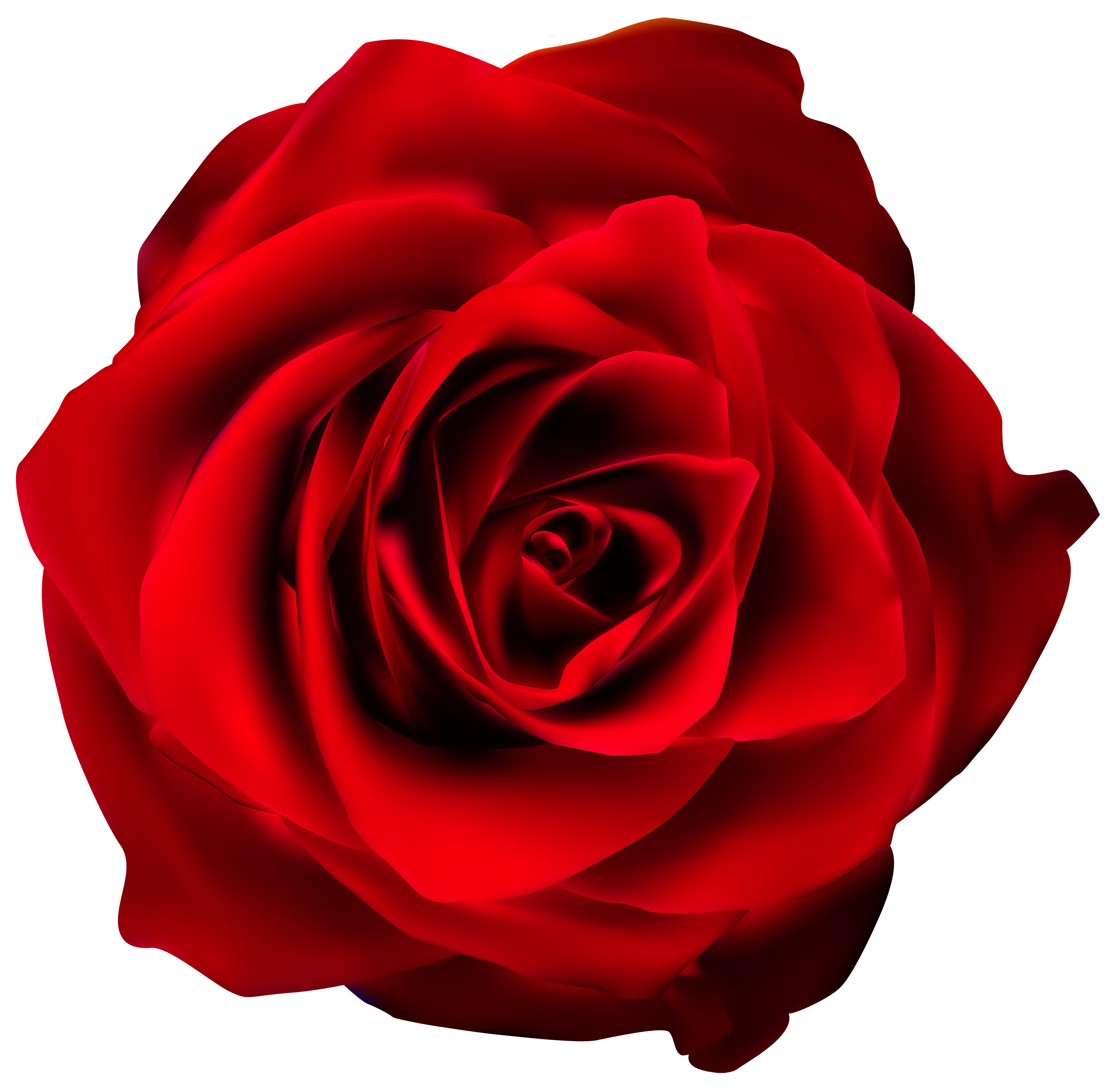 Transparent Red Rose Clip Art Red Rose Flower Png Full Size Clipart ...