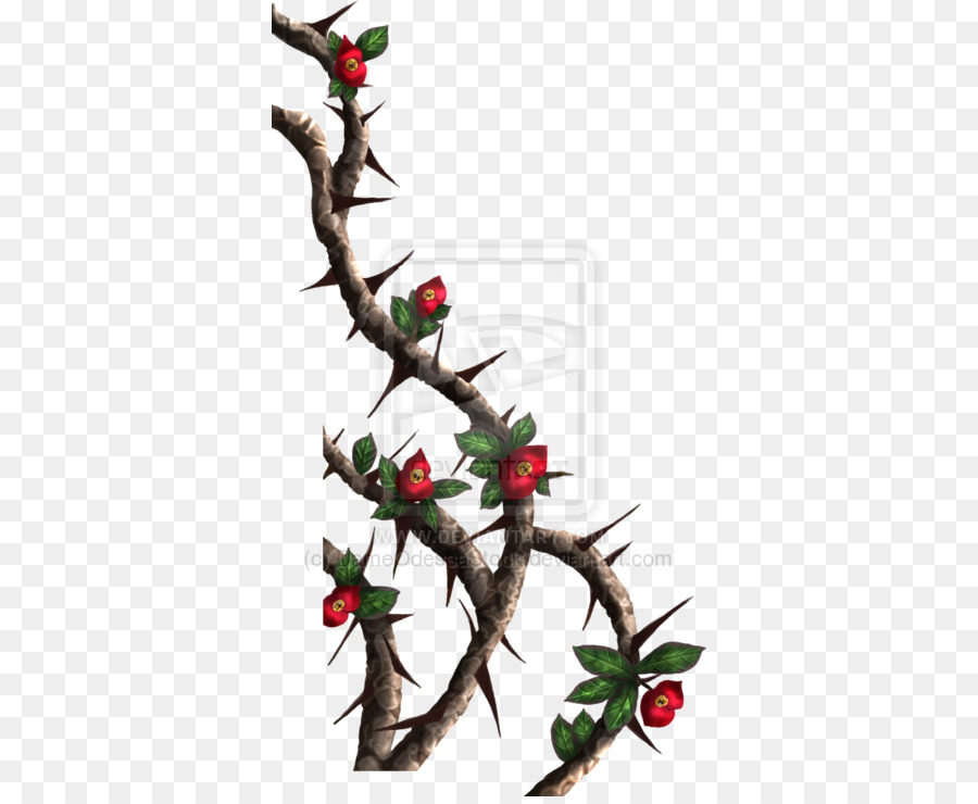 Thorns, spines, and prickles Rose Vine Drawing Clip art - crown of thorns png download - 400*733 - Free Transparent Thorns Spines And Prickles png Download.
