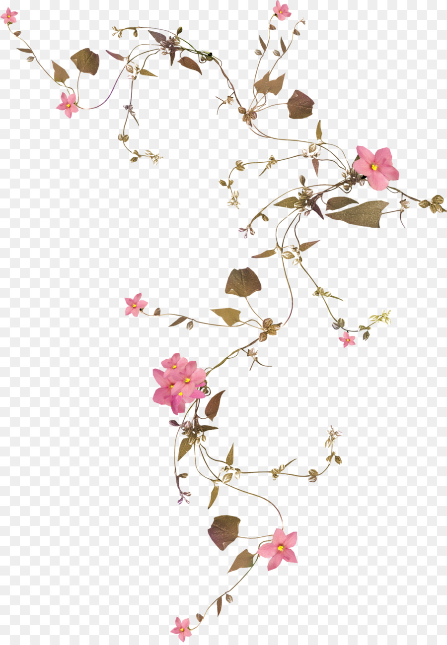 Flower Vine Rose Drawing - botanical png download - 1182*1701 - Free Transparent Flower png Download.