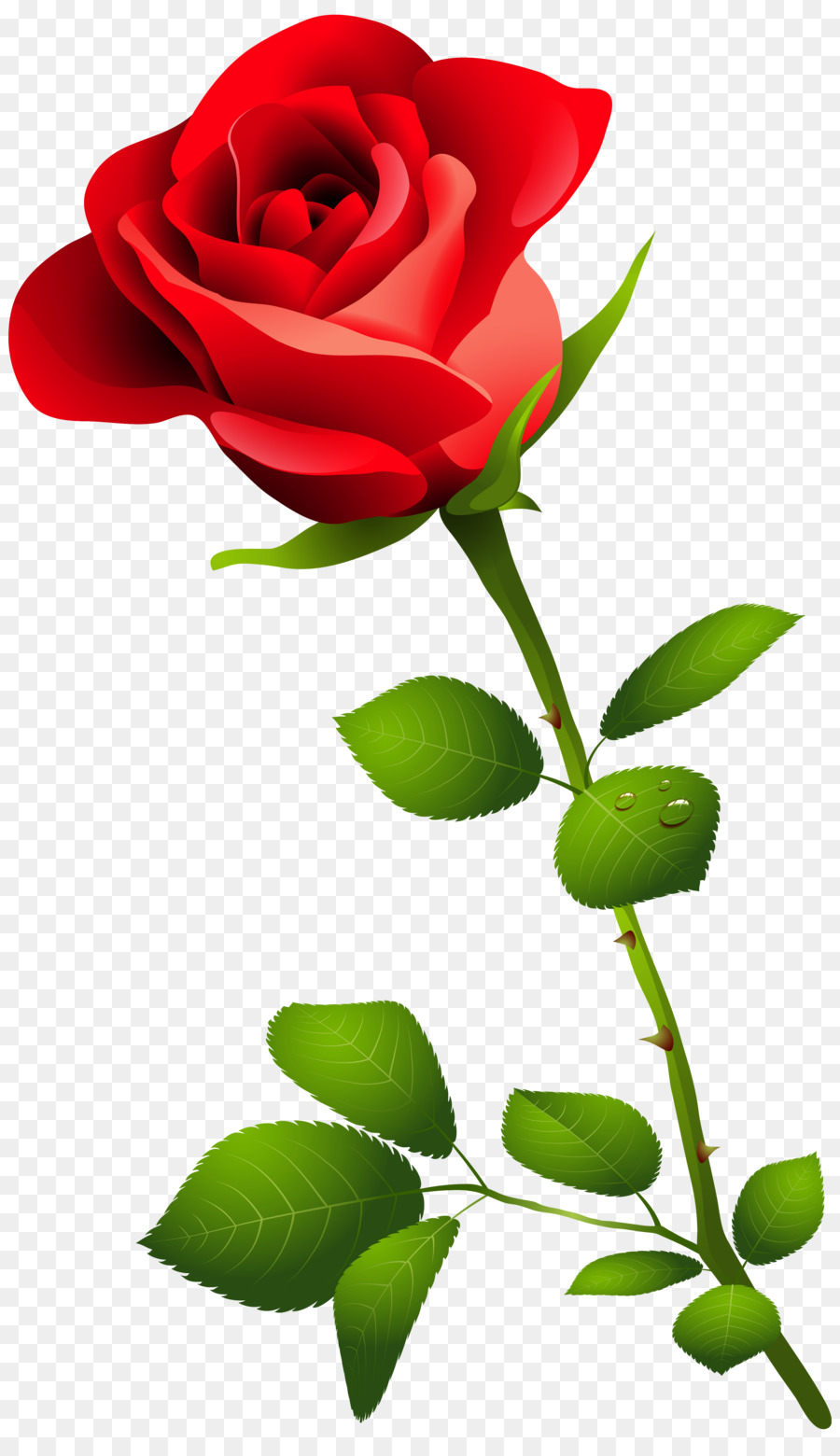 Rose Desktop Wallpaper Flower Clip art - Watercolor Flower Red png download - 3658*6286 - Free Transparent Rose png Download.