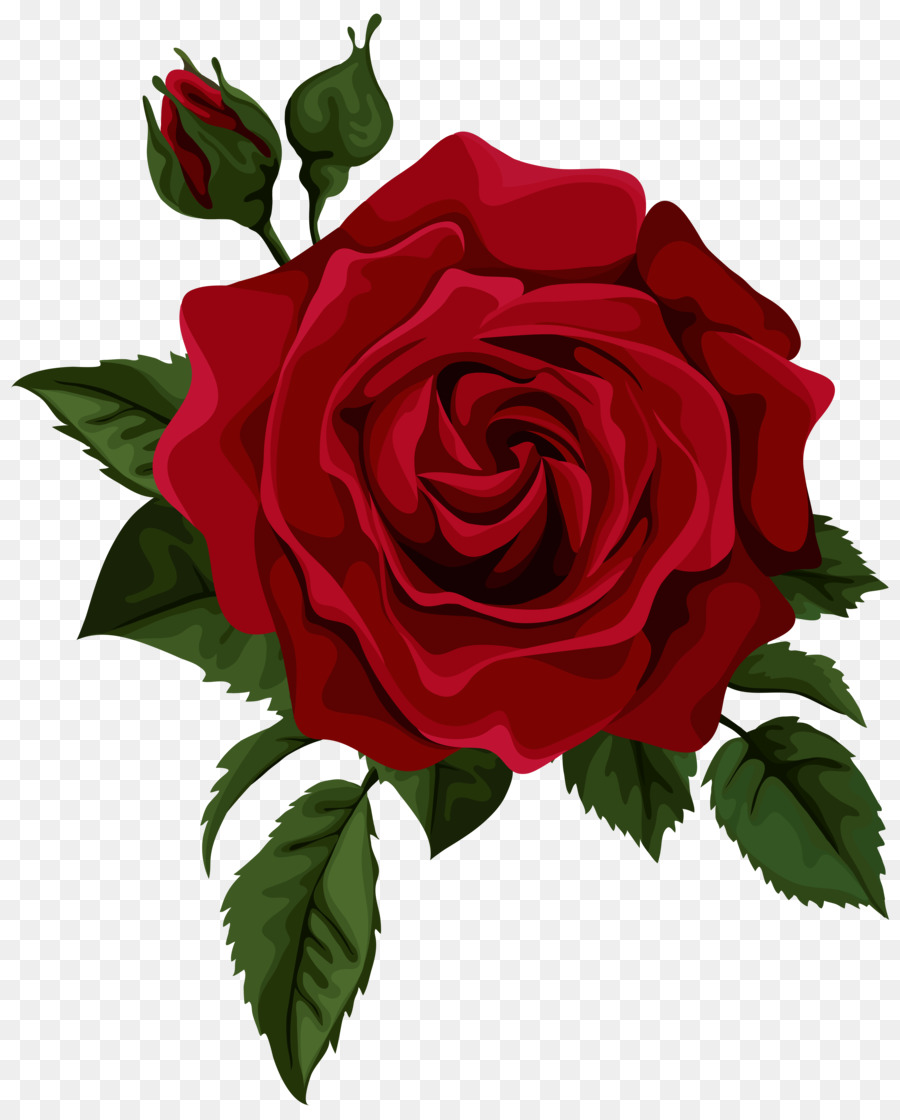 Rose Drawing Clip art - Small Rose Cliparts png download - 5632*7000 - Free Transparent Rose png Download.
