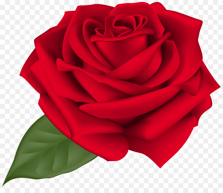 Rose Flower Clip art - red rose png download - 8000*6777 - Free Transparent Rose png Download.