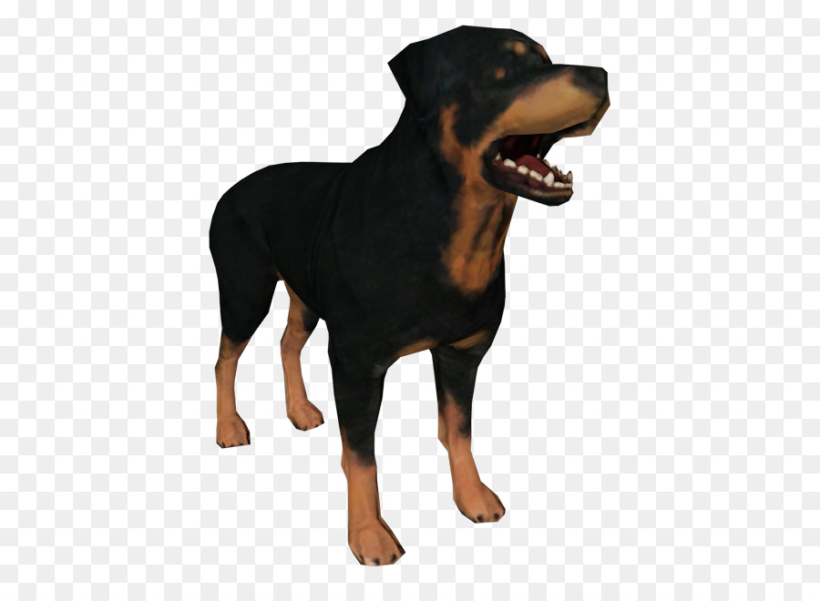 Rottweiler Puppy Dog breed Snout - puppy png download - 750*650 - Free Transparent Rottweiler png Download.