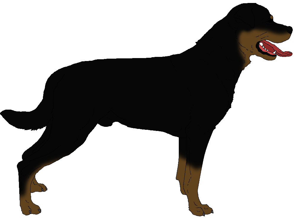 Rottweiler Clip art - rottweiler png download - 1000*756 - Free ...